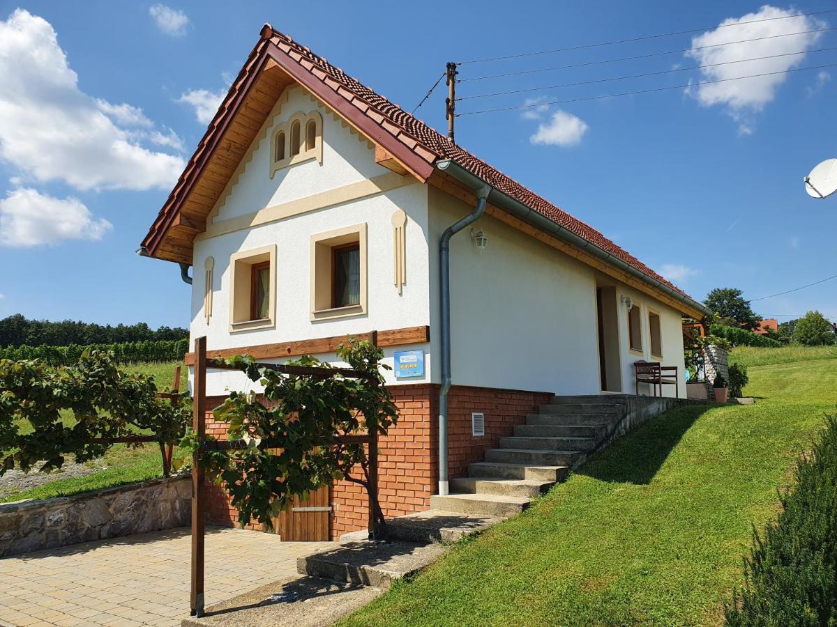 Kellerstoeckl Weinberg Villa Eisenberg an der Pinka Exterior photo